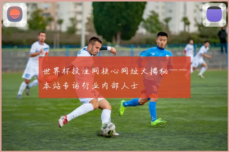 世界杯投注网核心网址大揭秘——本站专访行业内部人士